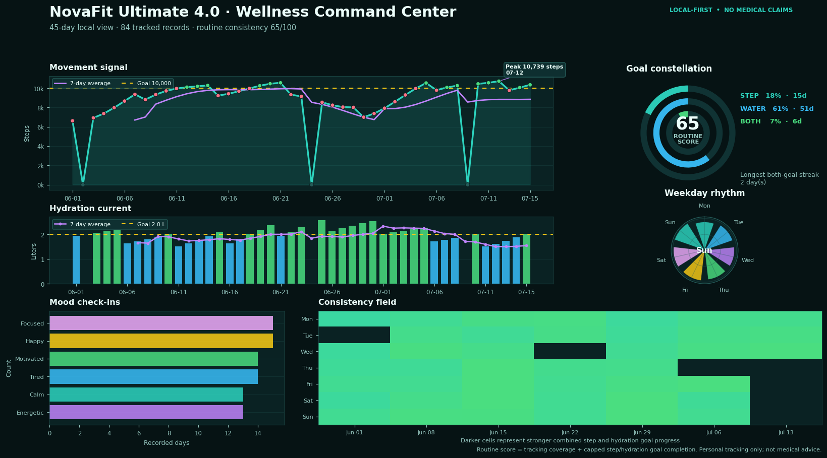 Aurora Borealis NovaFit analytics theme